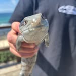 Jett.O’Connor - @jett.oconnor123 - Instagram