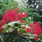 Jiten Konwar - Facebook
