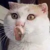 Conner Jimenez - @seprios - TikTok