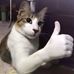 Connor Johns - Facebook
