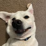 Connor Joos - @connorjoos27 - Instagram