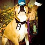 Connor Jorgensen - @redorgreen505 - Instagram