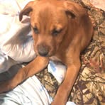 Connor Joseph - Facebook