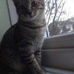 Connor Joyce - @connorjoyce2008 - Instagram