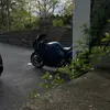 connor_judson - @connor_judson3 - TikTok
