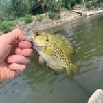 Connor Kaiser - @conman.fishing - Instagram