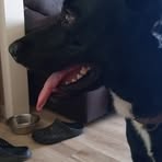 Conner Kalinowski - Facebook