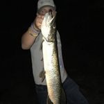 Connor Kane - @connorkane66 - Instagram