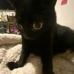 Connor - @connorkaufmann18 - Instagram