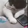 Connor Keane 1234 - @connor.keane.1234 - TikTok
