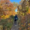 Connor - @connorjkeane - TikTok