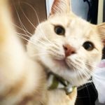 Connor Keech - @keechconnor - Instagram