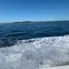 connor kelley - @connor.kelleyy - TikTok