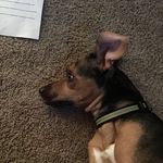 Connor Kendrick - @connorkendrick123456 - Instagram