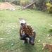 Kennar Mystro - Facebook