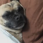 Connor Keyes - @connor_keyes_ - Instagram