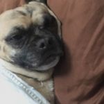 Connor Keyes - @connor_keyes_ - Instagram