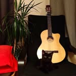 Conor Kiernan - Guitarist - @moyneguitarist - Instagram