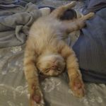 Killian Connor - @killianconnor - Instagram