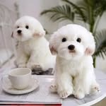Connor kim - @connorkim1245 - Instagram