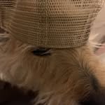 Connor Kimball - @connorkimball3 - Instagram