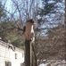 Connor Kimball - Facebook