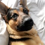 Connor Kincaid - @connor_kincaid - Instagram