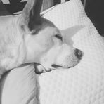 Connor Kincaid - Facebook