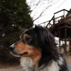 Connor Kingsley - Facebook
