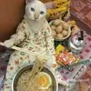 CONNOR - @connors_kitchen - TikTok