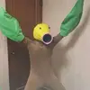 Connor Klaus - @connorklaus - TikTok