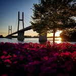 Connor Knight - @connors_gallery - Instagram