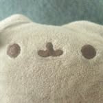 Connor Knowles - @pusheen_6464 - Instagram