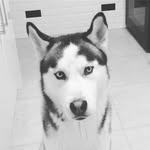 Connorknowles - @connor_lee09 - Instagram