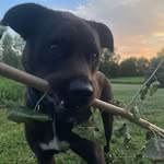 connor knutson - @connorrkn - Instagram