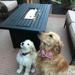Connor Koch - @connorkoch34 - Instagram