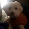 Connor Koegelenberg - @connorkoegelenberg - TikTok