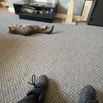 Connor Lambert - Facebook