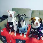 Connor, kira e Luna Maria - @connor_kira_lunamaria - Instagram