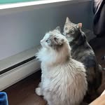 @connorlunaaababes - Instagram