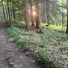Connor Marshall - @connor.marshall5 - TikTok