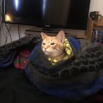 Connor Maxwell - Facebook