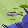 Connor McClain - @connor.mcclain2 - TikTok