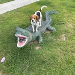 Connor McManus - Facebook
