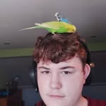 Connor Meadows - @connor.meadows.03 - Instagram