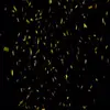 Connor Meadows - @connormeadows08 - TikTok