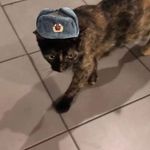 Connor Middleton - @deep_fried_lemons_ - Instagram