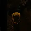 Connor - @connor.oleary - TikTok