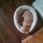 Conor Orcutt - Facebook