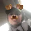Connorparks3!! - @connman5690 - TikTok